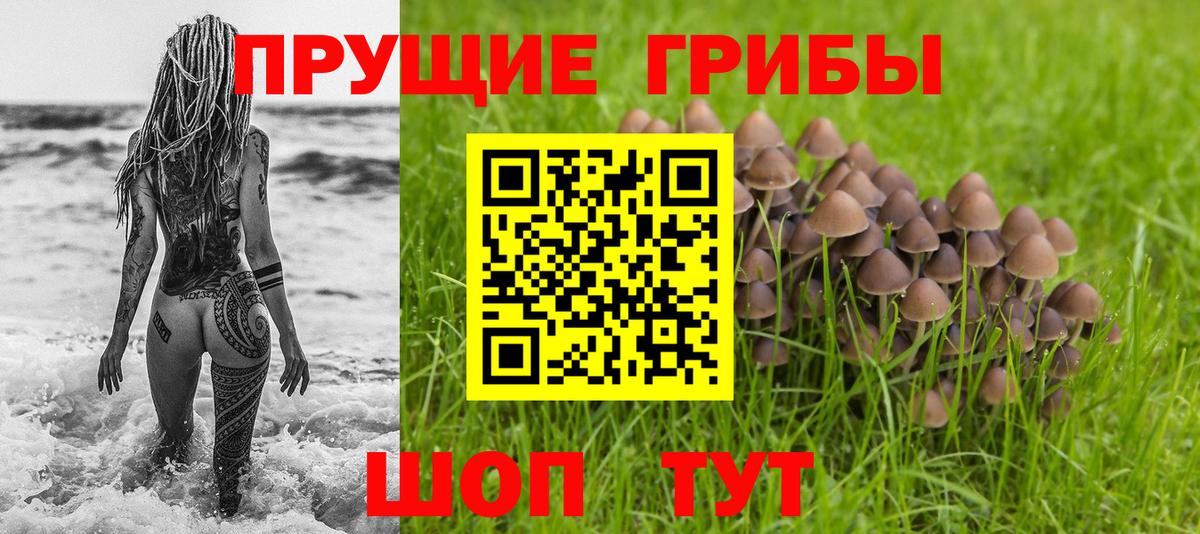Ульяновск  Псилоцибиновые грибы ЛСД  Вход с VPN 